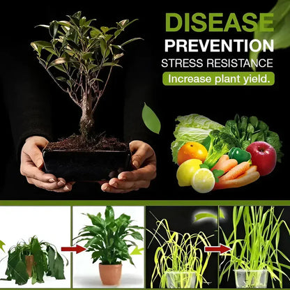 Soil Activated Treasure Premium Soil Activator 200gram (Pack of 2)